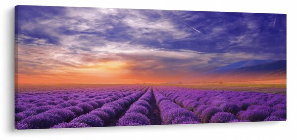 Obraz levanduľového pole (120x50 cm)
