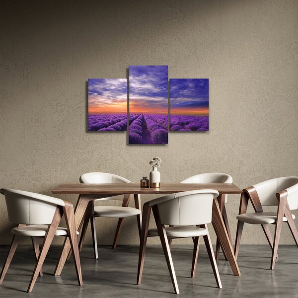 Obraz levanduľového pole (90x60 cm)