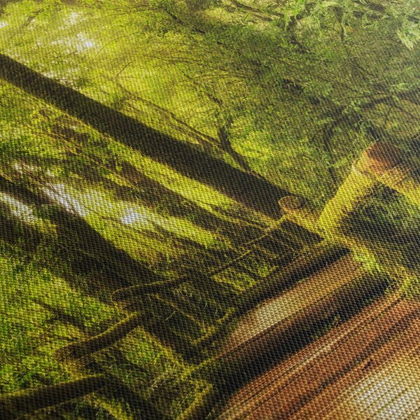 Obraz machové džungle (120x50 cm)