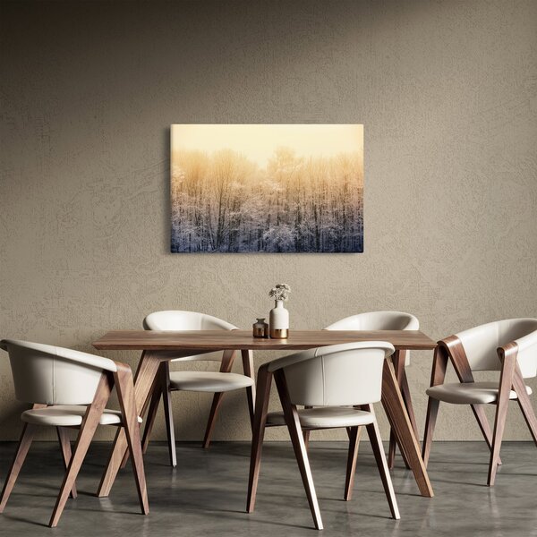 Obraz mrazivého lesa (90x60 cm)