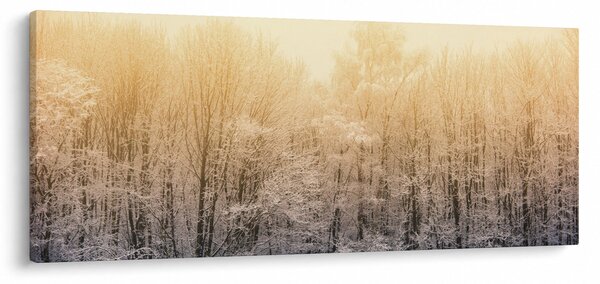 Obraz mrazivého lesa (120x50 cm)