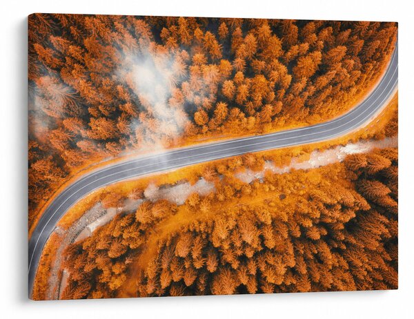 Obraz - Horská cesta (70x50 cm)