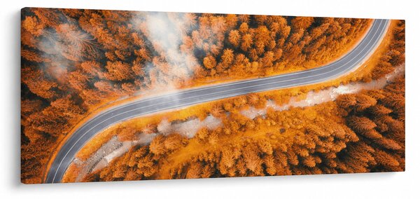 Obraz - Horská cesta (120x50 cm)