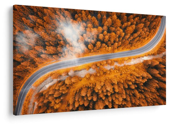 Obraz - Horská cesta (90x60 cm)