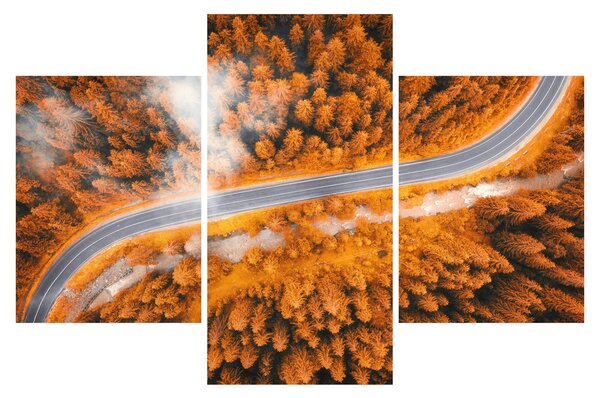 Obraz - Horská cesta (90x60 cm)
