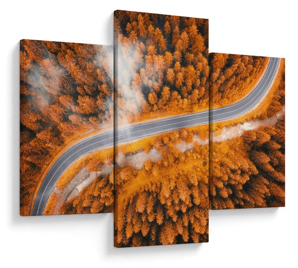 Obraz - Horská cesta (90x60 cm)