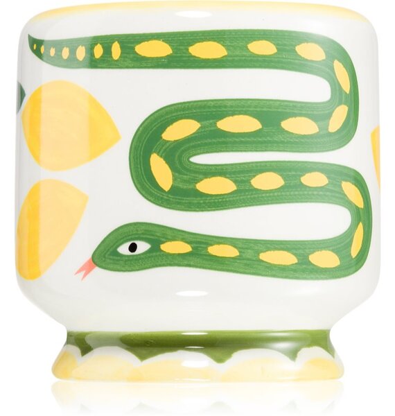 Paddywax A Dopo Snake vonná sviečka 226 g