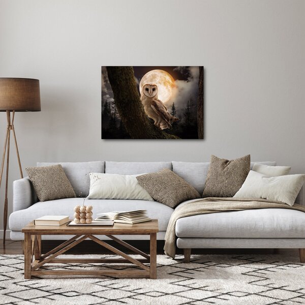 Obraz sovy (70x50 cm)