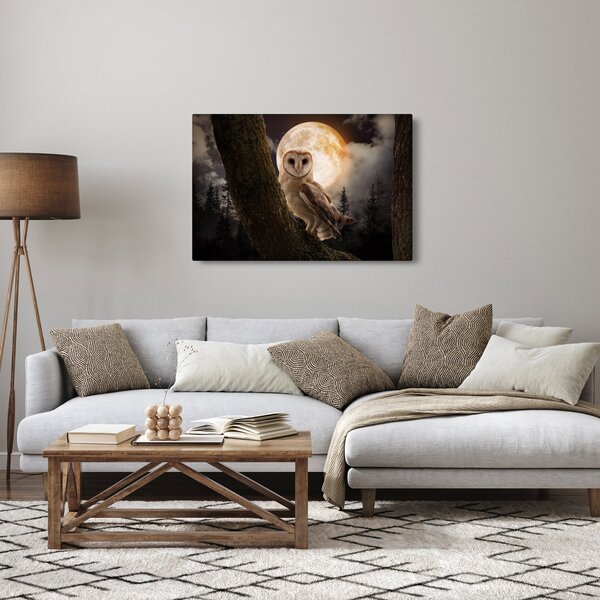 Obraz sovy (90x60 cm)