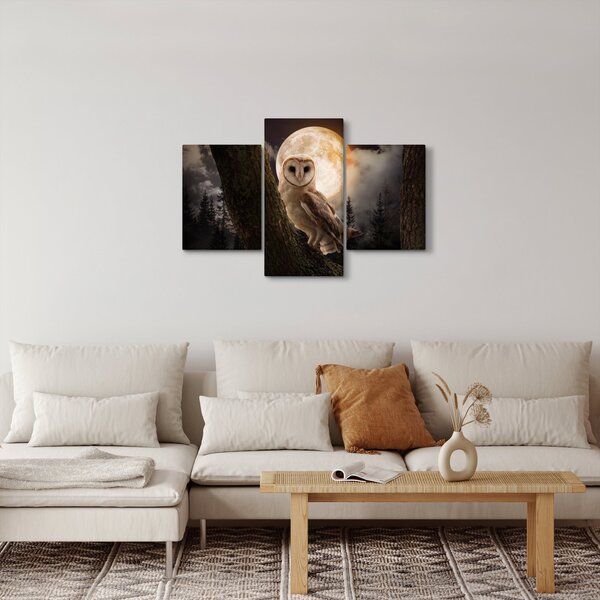 Obraz sovy (90x60 cm)