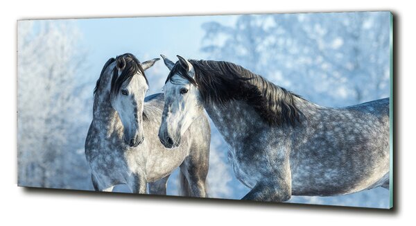 Fotoobraz na skle Zima sivý kôň