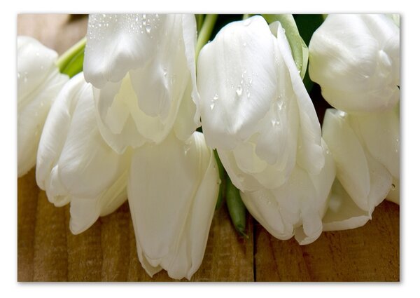 Fotoobraz na skle Biele tulipány pl-osh-100x70-f-104686883
