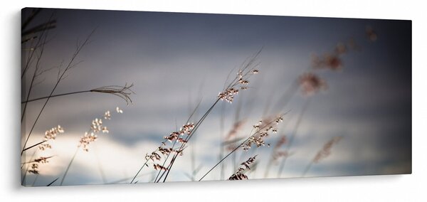 Obraz - Lúčne kvety pri jazere (120x50 cm)