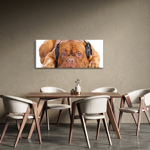 Obraz psa so slúchadlami (120x50 cm)
