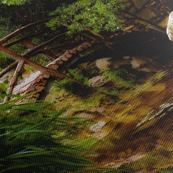 Obraz - Most cez riečku (120x50 cm)