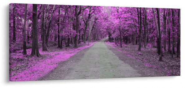 Obraz - Cesta parkom (120x50 cm)