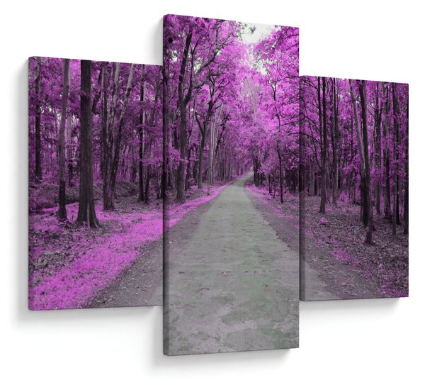 Obraz - Cesta parkom (90x60 cm)