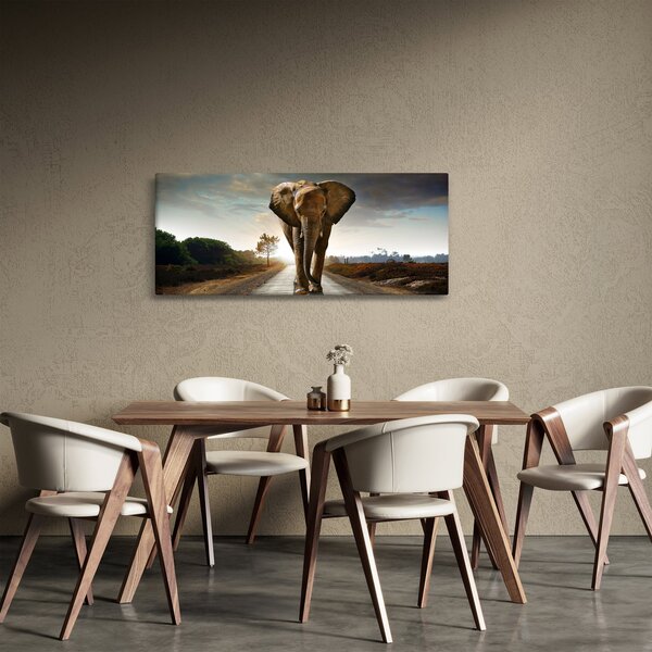 Obraz slona (120x50 cm)