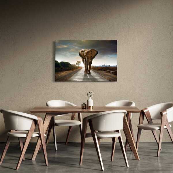 Obraz slona (90x60 cm)