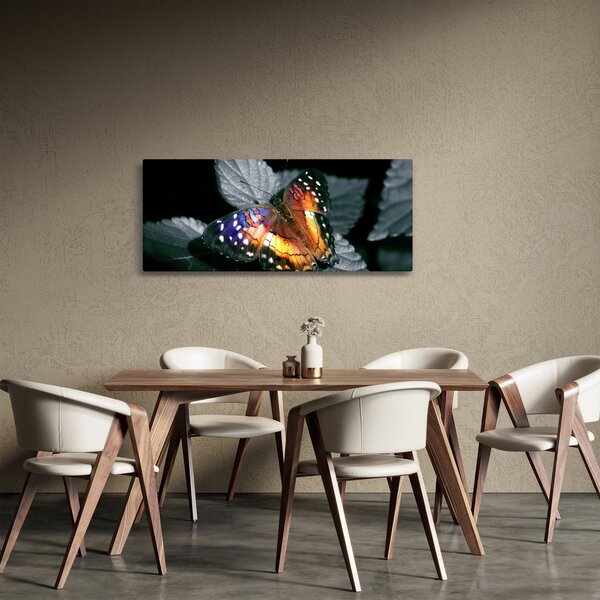 Obraz motýľa (120x50 cm)