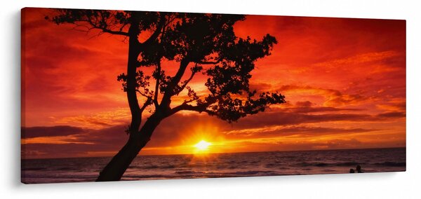 Obraz - Západ slnka (120x50 cm)
