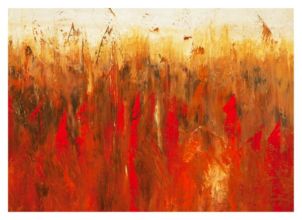 Obraz maľované abstrakcie (70x50 cm)
