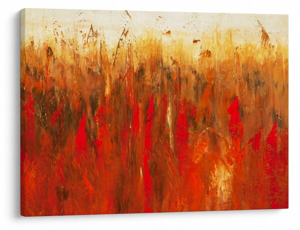 Obraz maľované abstrakcie (70x50 cm)