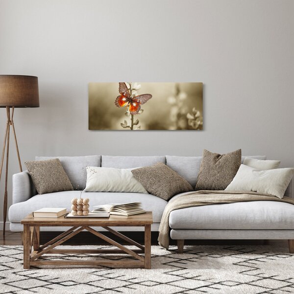 Obraz motýľa (120x50 cm)