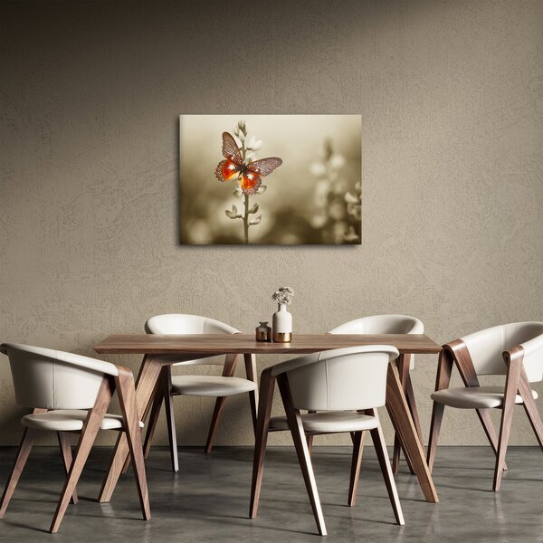 Obraz motýľa (70x50 cm)
