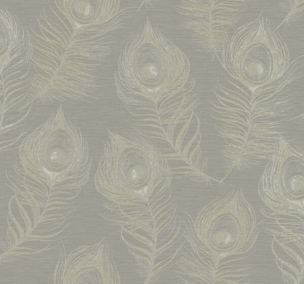 Sivá vliesová tapeta s pávími perami, EV3941, Candice Olson Casual Elegance, York
