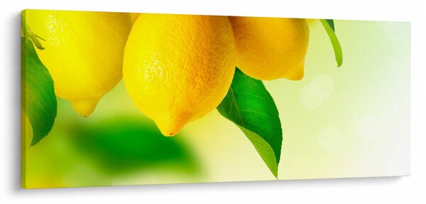 Obraz citrónov (120x50 cm)