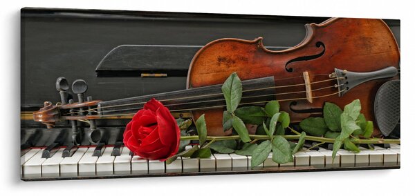 Obraz - Spomienka na hudobníka (120x50 cm)
