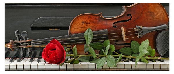 Obraz - Spomienka na hudobníka (120x50 cm)