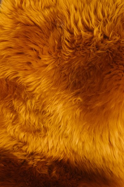 Ovčia kožušina oranžová Kožušina: M- 110x65 cm