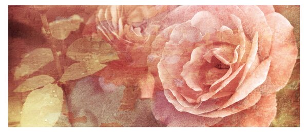 Obraz ruží (120x50 cm)