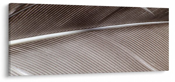Abstraktný obraz vlákien (120x50 cm)