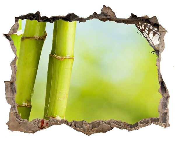 Samolepící díra nálepka Bambusu a motýľ nd-k-69817087