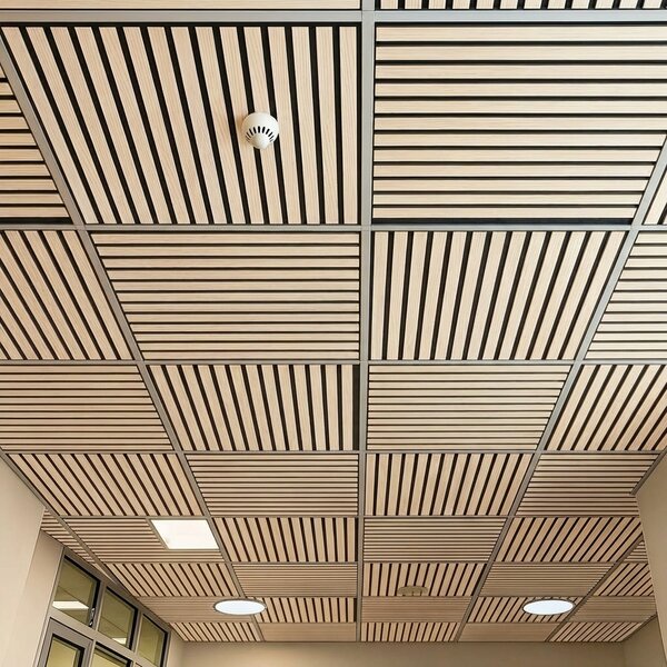Drevený akustický panel pre stropnú rastrovú konštrukciu, 595 x 595 mm, B2BP002, balenie 4 ks, breza