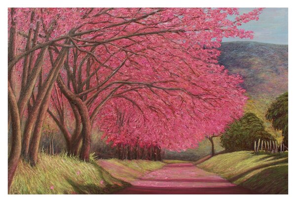 Obraz rozkvitnutých stromov (90x60 cm)