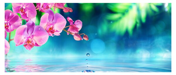 Obraz - Orchidea (120x50 cm)