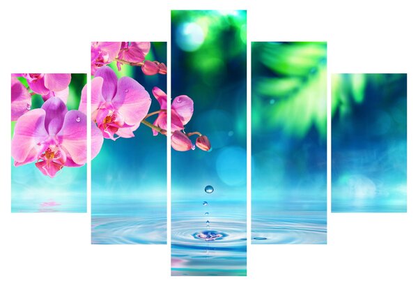 Obraz - Orchidea (150x105 cm)