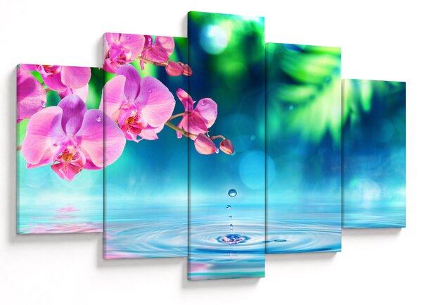 Obraz - Orchidea (150x105 cm)