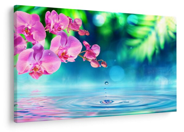 Obraz - Orchidea (90x60 cm)