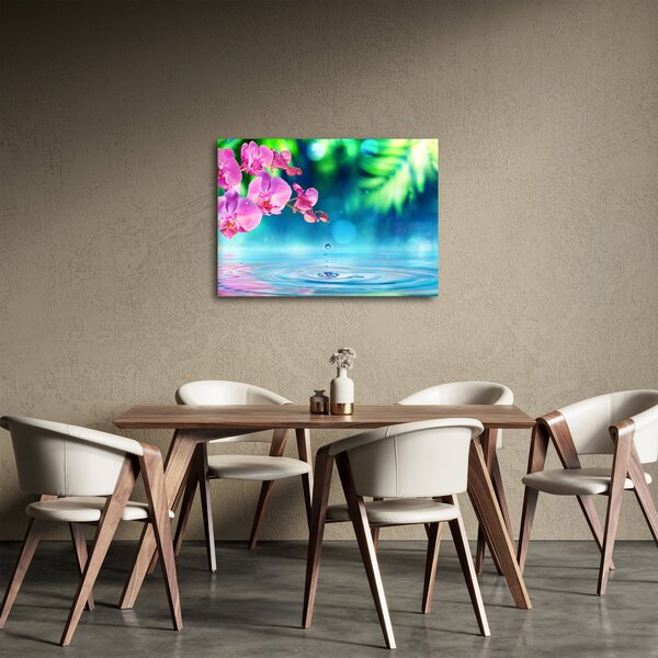 Obraz - Orchidea (70x50 cm)