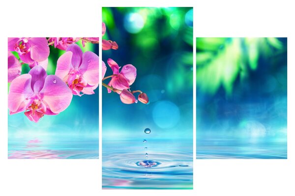 Obraz - Orchidea (90x60 cm)