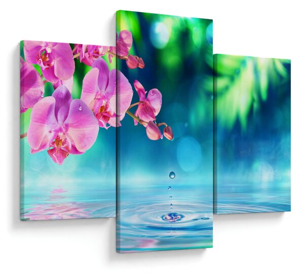 Obraz - Orchidea (90x60 cm)