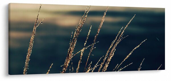 Obraz tráv (120x50 cm)