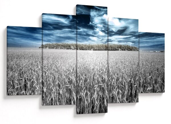 Obraz pole (150x105 cm)