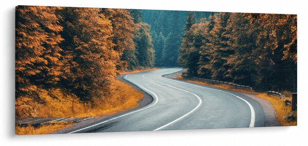 Obraz - Kľukatá cesta (120x50 cm)