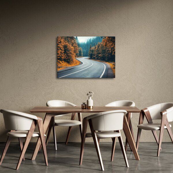 Obraz - Kľukatá cesta (70x50 cm)